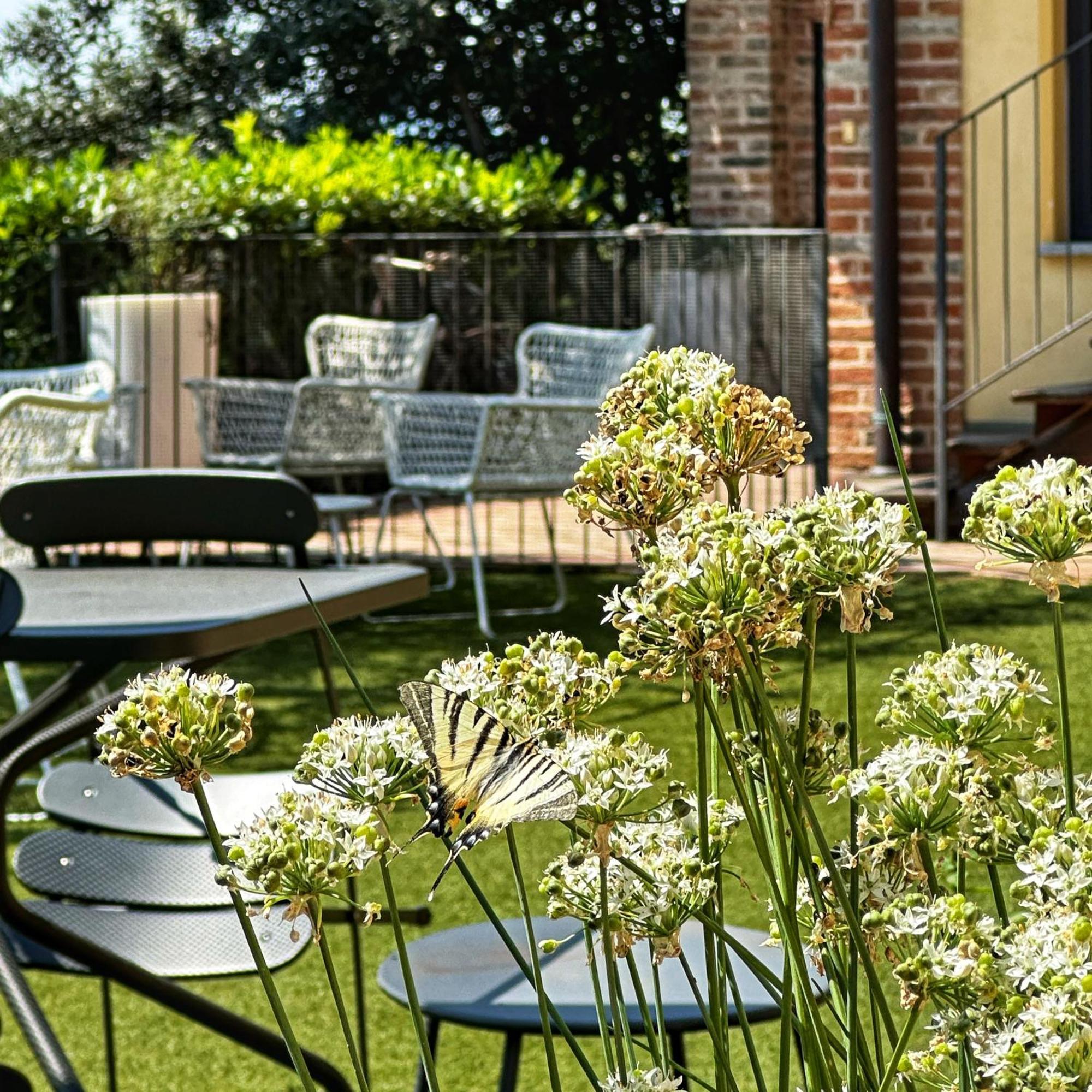 Acquaementa Guest House Brusasco Exterior photo